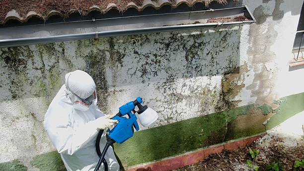 Top rated local Mold Remediation specialists in Perryville, MD